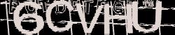 Please input captcha code