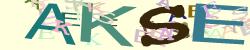 Please input captcha code