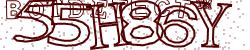 Please input captcha code