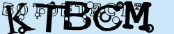 Please input captcha code