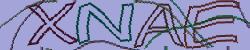 Please input captcha code