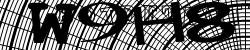 Please input captcha code