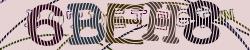 Please input captcha code