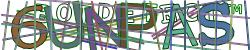 Please input captcha code