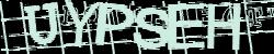 Please input captcha code