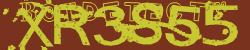 Please input captcha code