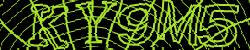 Please input captcha code