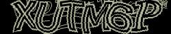 Please input captcha code