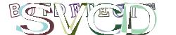 Please input captcha code