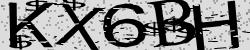 Please input captcha code