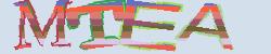Please input captcha code