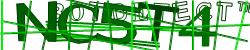 Please input captcha code