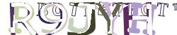 Please input captcha code