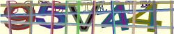 Please input captcha code