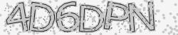 Please input captcha code