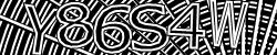 Please input captcha code