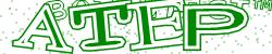 Please input captcha code