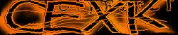 Please input captcha code