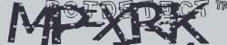 Please input captcha code