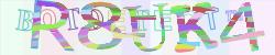 Please input captcha code