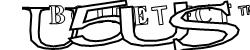 Please input captcha code