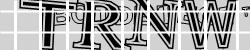 Please input captcha code