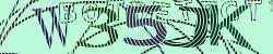 Please input captcha code