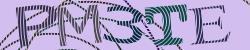 Please input captcha code