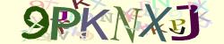 Please input captcha code