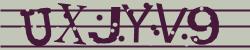 Please input captcha code