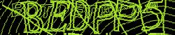 Please input captcha code