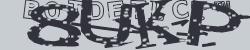 Please input captcha code