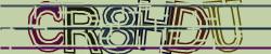 Please input captcha code