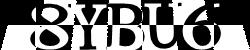 Please input captcha code