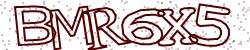 Please input captcha code