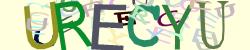 Please input captcha code