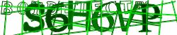 Please input captcha code