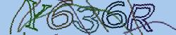 Please input captcha code