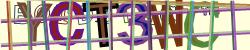 Please input captcha code
