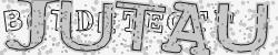 Please input captcha code