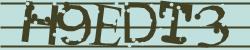 Please input captcha code