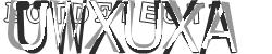 Please input captcha code