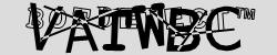 Please input captcha code