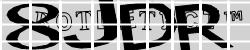 Please input captcha code