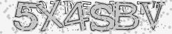 Please input captcha code