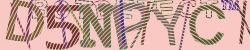 Please input captcha code
