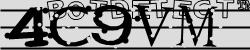 Please input captcha code