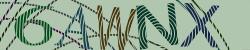 Please input captcha code